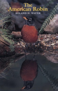 The American Robin by Roland H. Wauer