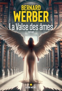 La Valse des âmes by Bernard Werber