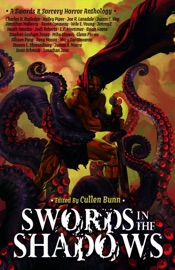 Swords in the Shadows - Scott Schmidt, Charles R. Rutledge, Josh Roberts, Jonathan Janz, JimmyZ Johnston, L.C. Mortimer, Glenn Parris, Aaron Conaway, Mike Oliveri, Allison Pang, Heath Amodio, Steven L. Shrewsbury, Wile E. Young, Brian Keene, Justin C. Key, James A. Moore, Mary SanGiovanni, Joe R. Lansdale, Hailey Piper, Stephen Graham Jones, Jonathan Maberry, Rena Mason & Cullen Bunn