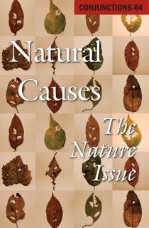 Natural Causes by Bradford Morrow