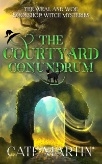 The Courtyard Conundrum by Cate Martin
