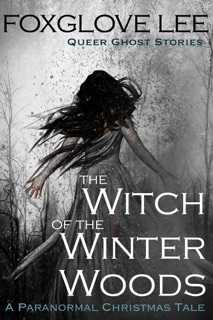 The Witch of the Winter Woods: A Paranormal Christmas Tale by Foxglove Lee