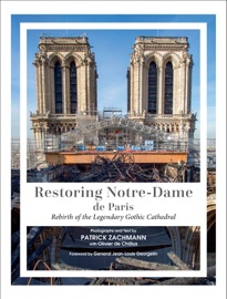 Restoring Notre-Dame de Paris - Patrick Zachmann & Olivier de Châlus