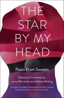 The Star by My Head by Jonas Ellerström, Malena Mörling & Ilya Kaminsky