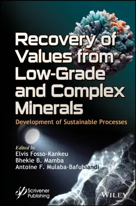 Read: Book Recovery of Values from Low-Grade and Complex Minerals
