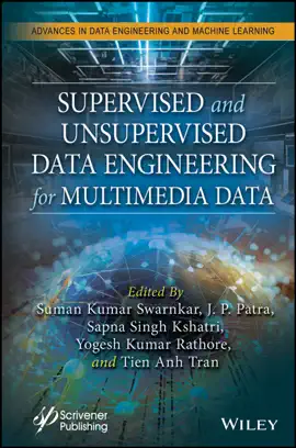 Read: Supervised and Book Unsupervised Data Engineering for Multimedia Data