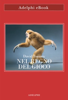 Nel regno del gioco by David Toomey