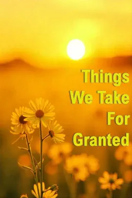 Read: Things We Take For Granted Book