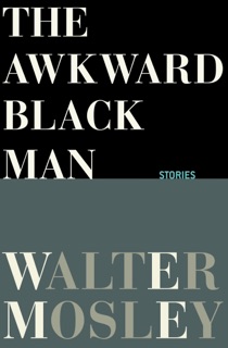 The Awkward Black Man by Walter Mosley