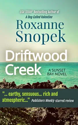 Driftwood Creek