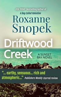 Driftwood Creek by Roxanne Snopek