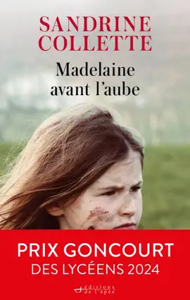 Read: Book Madelaine avant l'aube - Prix Goncourt des lycéens 2024