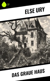 Das graue Haus - Else Ury