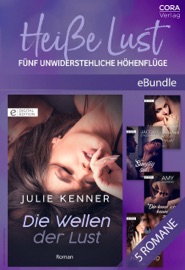 Heiße Lust - Fünf unwiderstehliche Höhenflüge - Debbi Rawlins, Jacquie D'Alessandro, Amy Andrews, Julie Kenner & Kimberly Van Meter