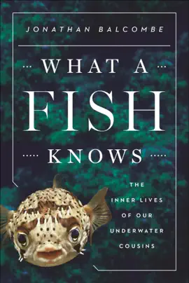 What a Fish Knows