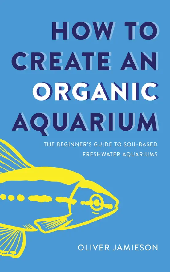 How to Create an Organic Aquarium