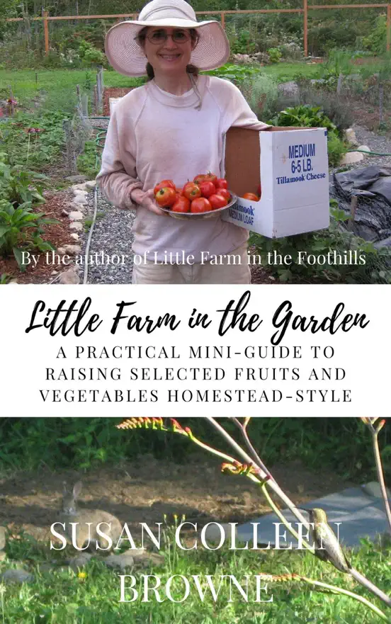 Little Farm in the Garden: A Practical Mini-Guide to Raising Selected Fruits and Vegetables Homestead-Style