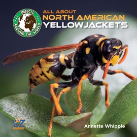 All About North American Yellowjackets - Annette Whipple