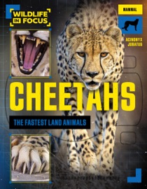 Cheetahs: The Fastest Land Animals