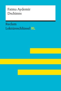 Dschinns von Fatma Aydemir by Fatma Aydemir & Swantje Ehlers
