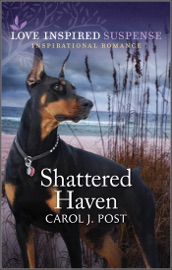 Shattered Haven - Carol J. Post