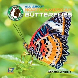All About North American Butterflies - Annette Whipple