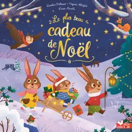 Read: Le plus Book beau cadeau de Noël