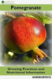 Pomegranate: Growing Practices and Nutritional Information - Agrihortico CPL