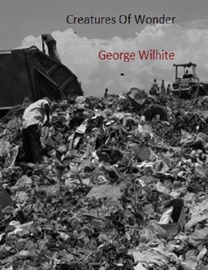 Creatures of Wonder: A Tale of the Unfound - George Wilhite