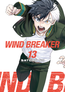 WIND BREAKER Volume 13 - Satoru Nii Cover Art
