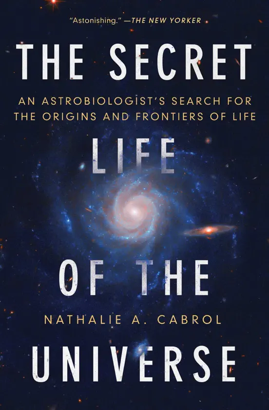 The Secret Life of the Universe