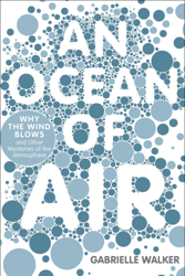 An Ocean of Air