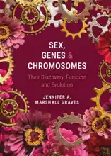 Sex, Genes and Chromosomes
