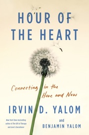 Hour of the Heart - Irvin D. Yalom & Benjamin Yalom