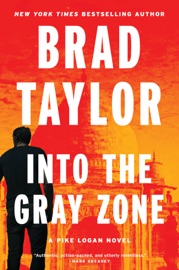 Into the Gray Zone - Brad Taylor