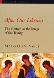 After Our Likeness - Miroslav Volf