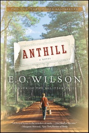 Anthill