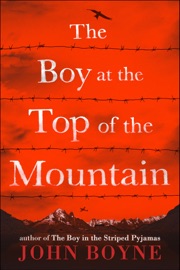 The Boy at the Top of the Mountain - John Boyne