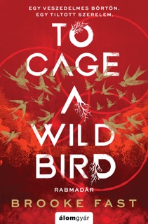 To Cage a wild bird - Rabmadár by Brooke Fast