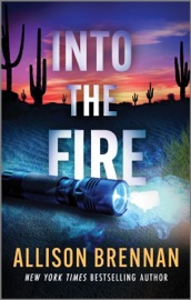 Into the Fire - Allison Brennan