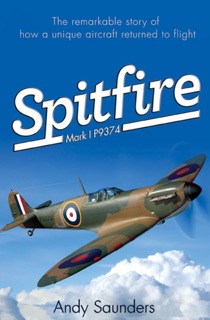 Spitfire by Andy Saunders