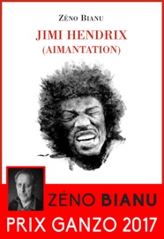 Jimi Hendrix (aimantation) - Zéno Bianu