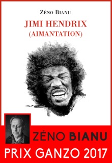 Jimi Hendrix (aimantation) by Zéno Bianu