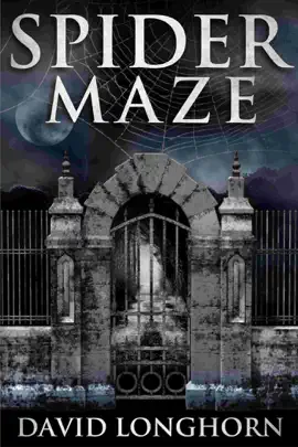 Read: Book Spider Maze
