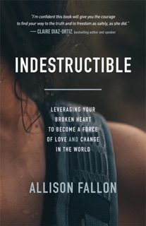 Indestructible by Allison Fallon