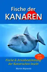 Fische der Kanarischen Inseln, Fisch und Artenbestimmung der Kanaren