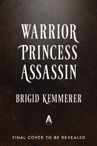 Warrior Princess Assassin