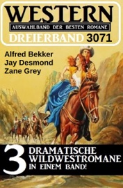 Western Dreierband 3071 - Alfred Bekker, Jay Desmond & Zane Grey