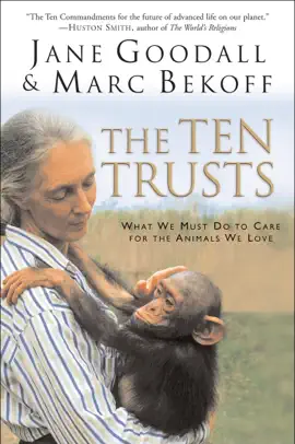 The Ten Trusts