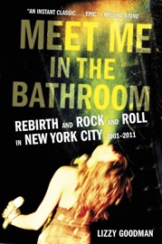 Meet Me in the Bathroom - Lizzy Goodman